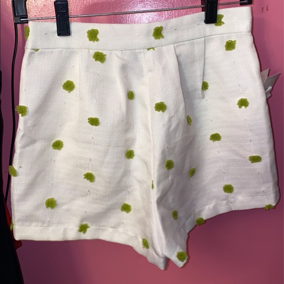 Kenley Collins High Waisted Shorts - Picture 2 of 3